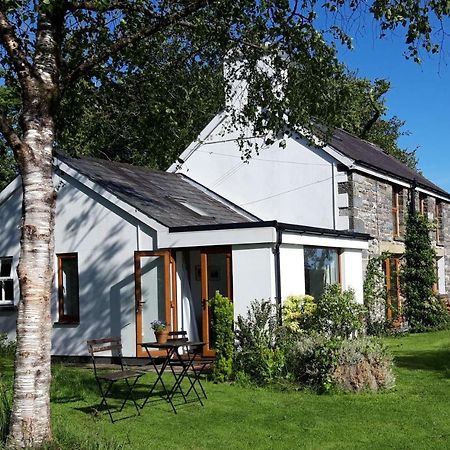 Tregaron Nant Yr Onnen B&B And Holiday Cottage المظهر الخارجي الصورة