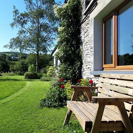 Tregaron Nant Yr Onnen B&B And Holiday Cottage المظهر الخارجي الصورة