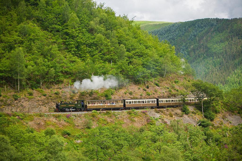 Tregaron Nant Yr Onnen B&B And Holiday Cottage المظهر الخارجي الصورة
