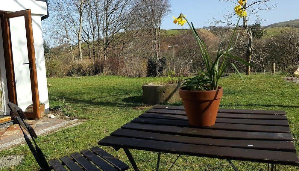 Tregaron Nant Yr Onnen B&B And Holiday Cottage المظهر الخارجي الصورة