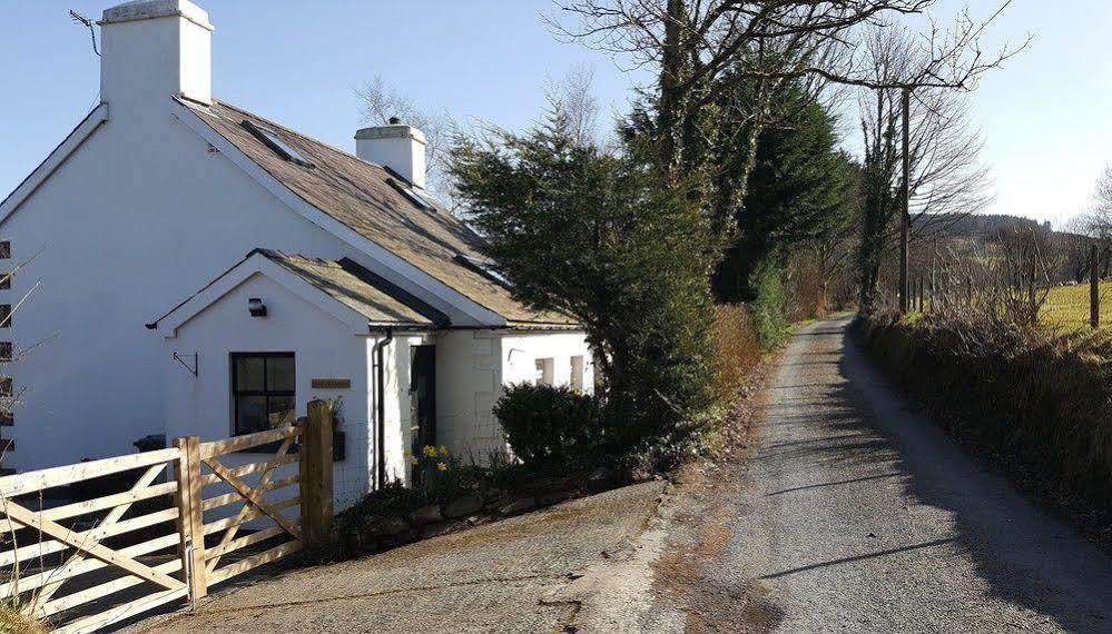 Tregaron Nant Yr Onnen B&B And Holiday Cottage المظهر الخارجي الصورة