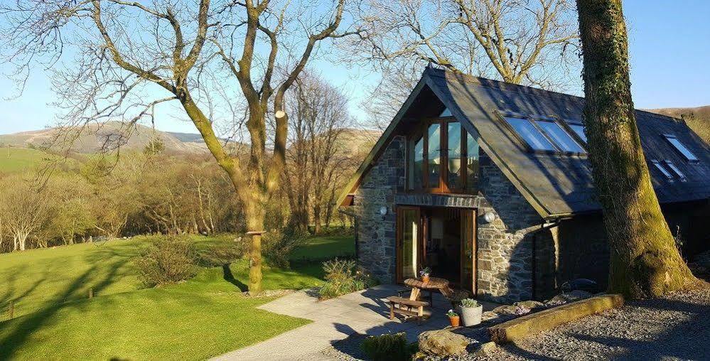 Tregaron Nant Yr Onnen B&B And Holiday Cottage المظهر الخارجي الصورة