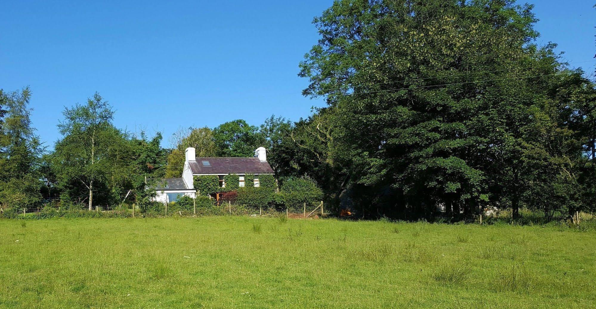 Tregaron Nant Yr Onnen B&B And Holiday Cottage المظهر الخارجي الصورة