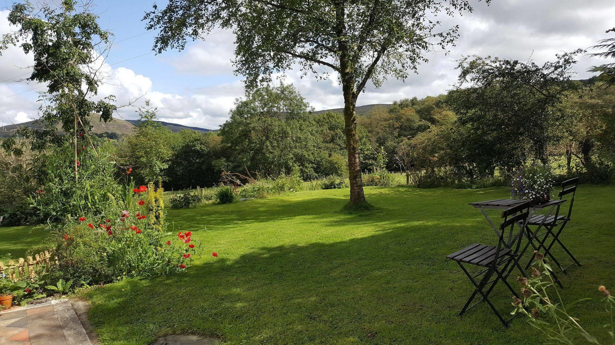Tregaron Nant Yr Onnen B&B And Holiday Cottage المظهر الخارجي الصورة