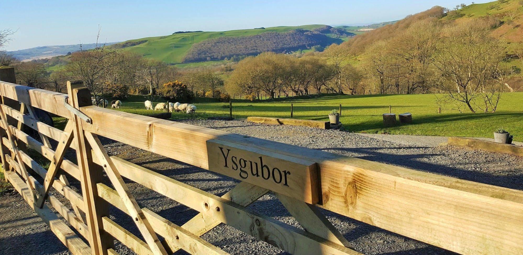 Tregaron Nant Yr Onnen B&B And Holiday Cottage المظهر الخارجي الصورة