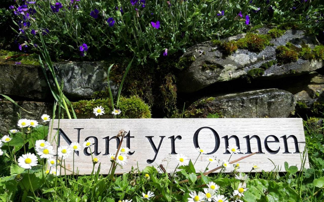 Tregaron Nant Yr Onnen B&B And Holiday Cottage المظهر الخارجي الصورة