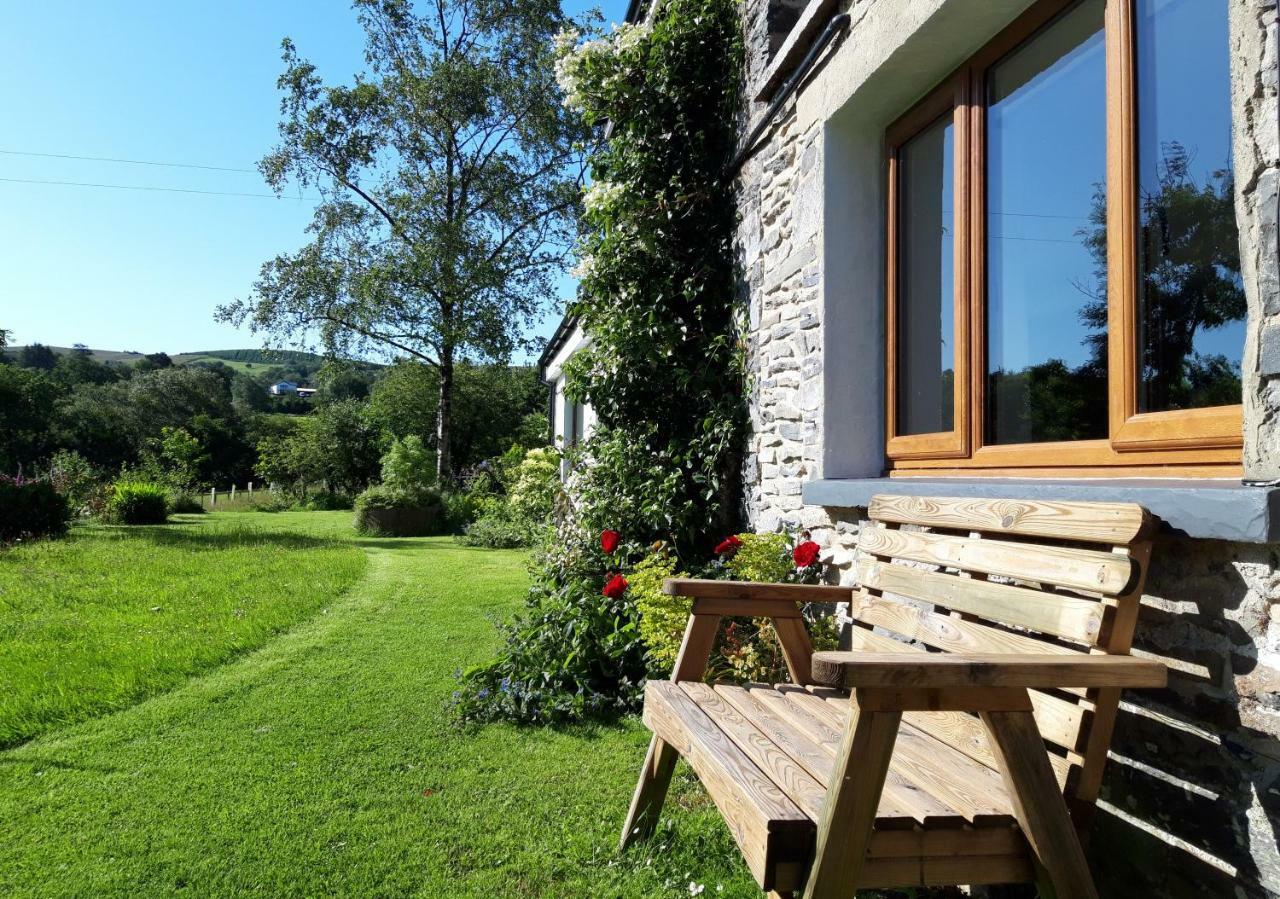 Tregaron Nant Yr Onnen B&B And Holiday Cottage المظهر الخارجي الصورة